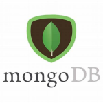 MongoDB Developer