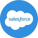 Salesforce Developer